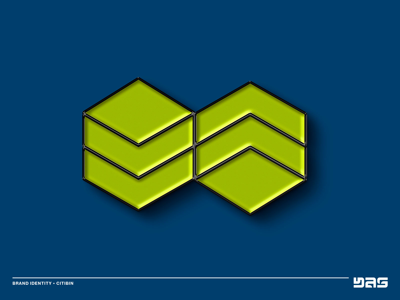 250219-01_YAS-portfolio_citibin13