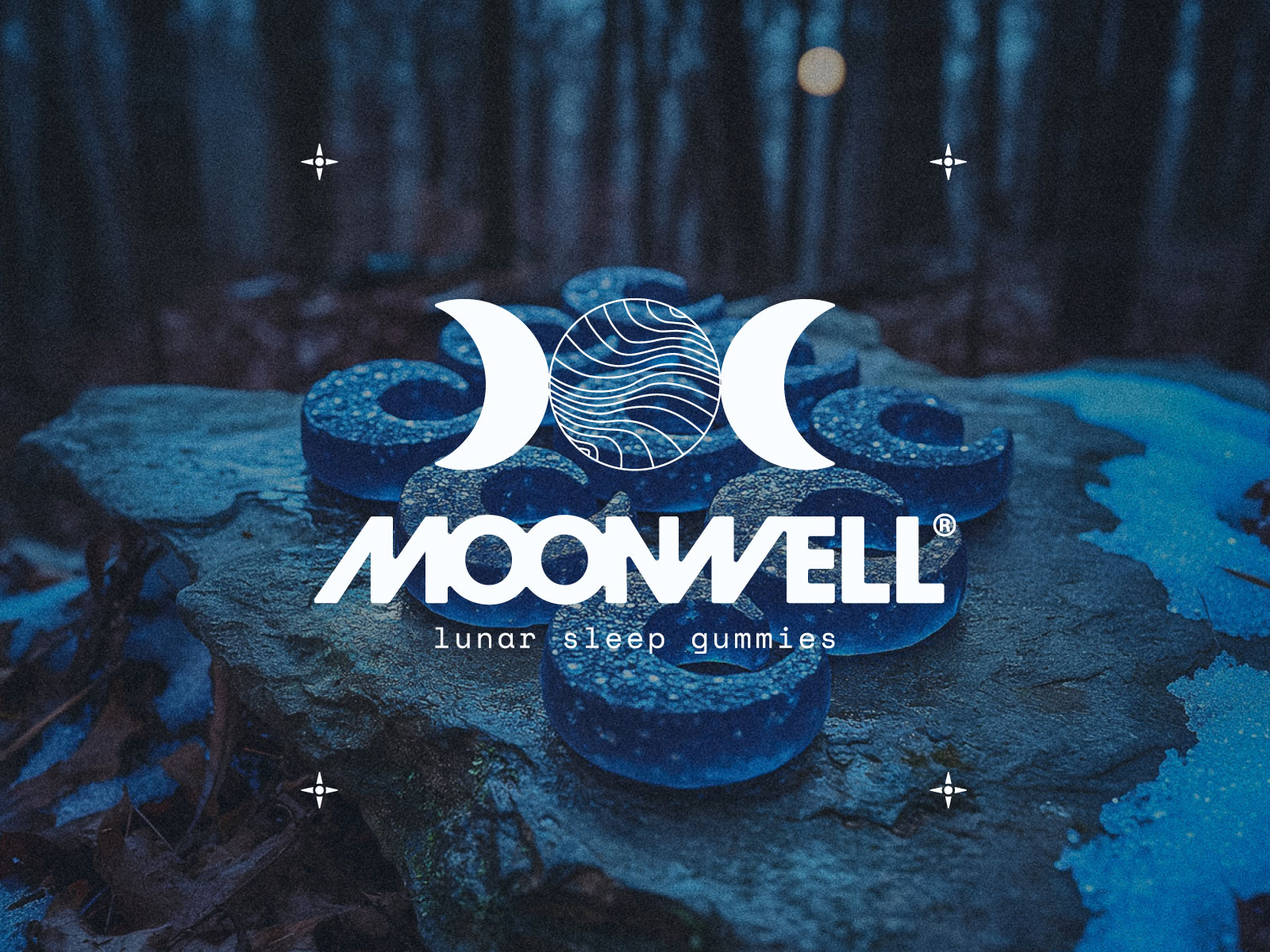 250210-12_YAS-portfolio_moonwell