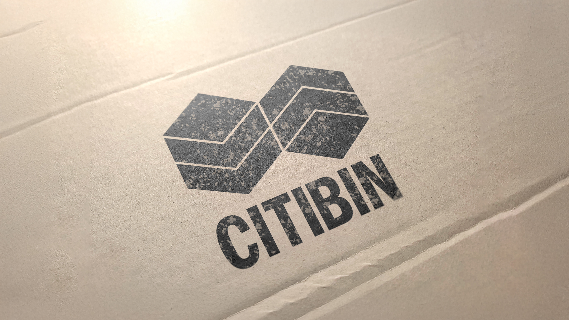 250227-03_YAS-web-citibin_cardboard