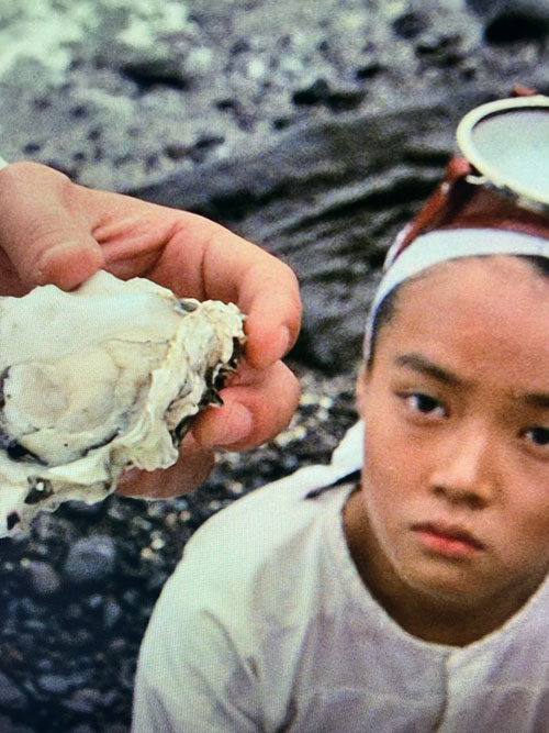 250424-04_YAS-web-poster-tampopo_stills