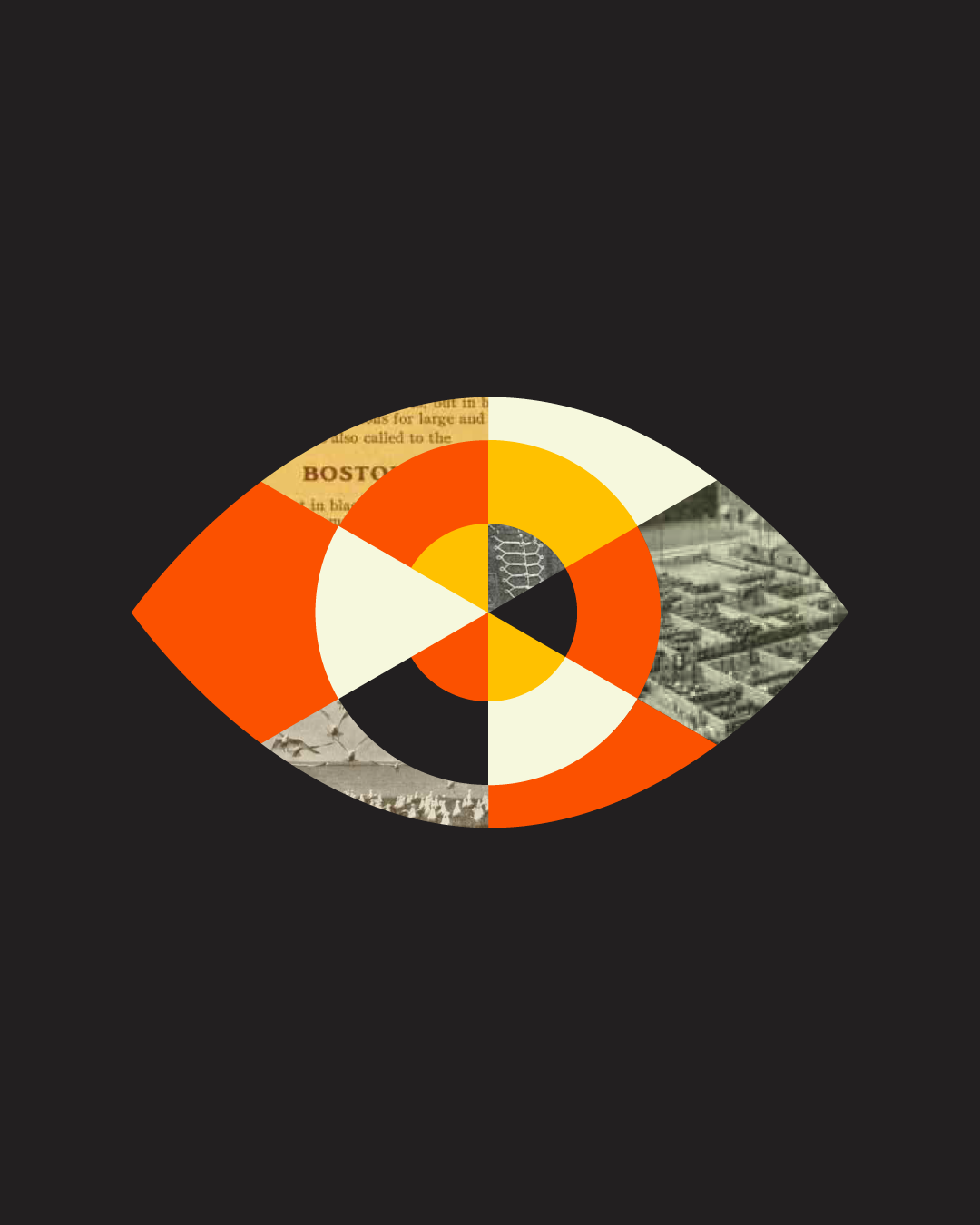250514-17_YAS-website-portfolio-mockup_eye